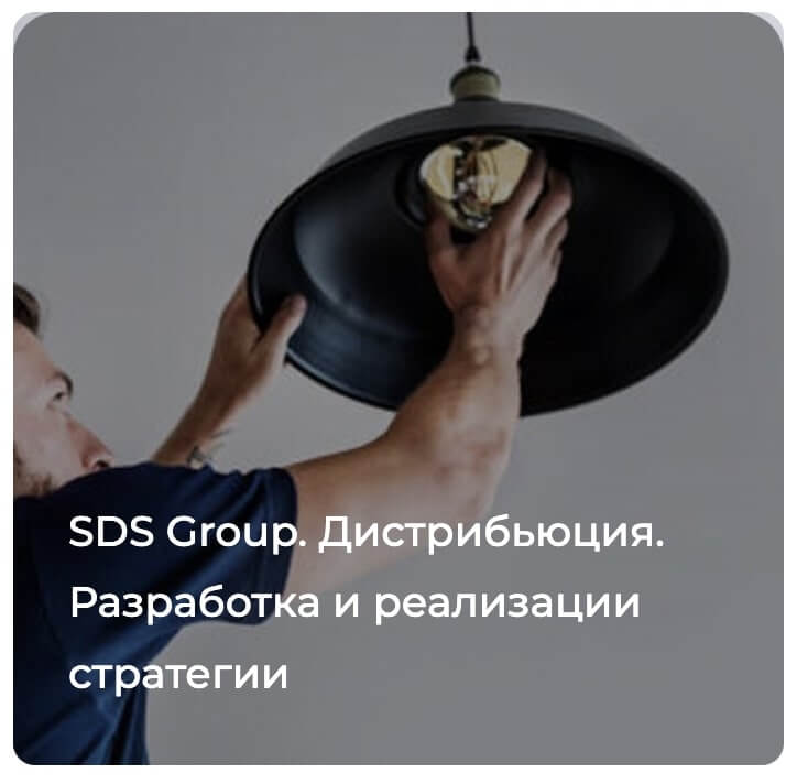 Разработка стратегии развития. Кейс SDS (РФ)